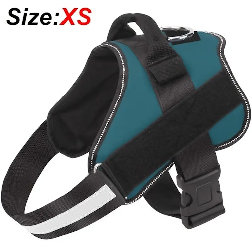Reflective No-Pull Dog Harness with Breathable Design and Handle (Color: Blue Green)