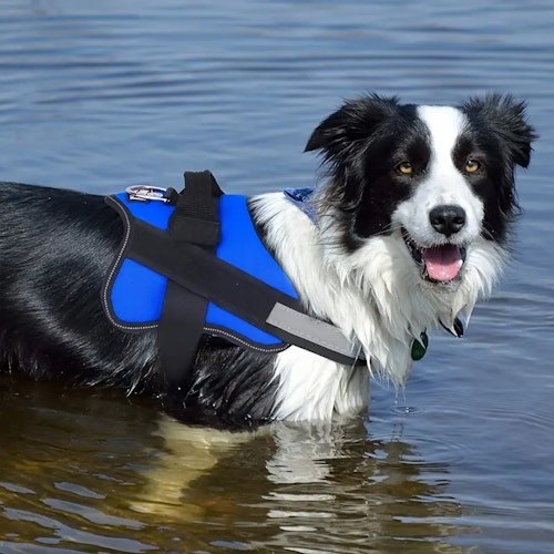 Reflective No-Pull Dog Harness with Breathable Design and Handle (Color: Blue Camouflage)