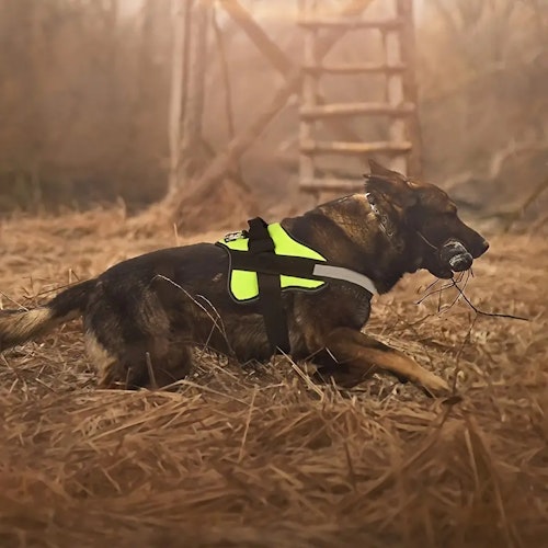 Reflective No-Pull Dog Harness with Breathable Design and Handle (Color: Desert Camouflage)